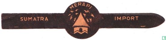 Merapi - Sumatra - Import - Bild 1
