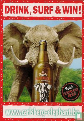 1582* - Carlsberg Elephant Beer "Drink, Surf & Win"  - Bild 1