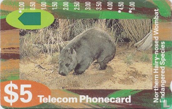 Wombat - Image 1