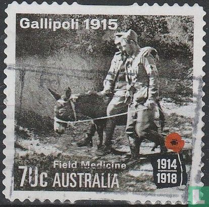 Gallipoli 1915 