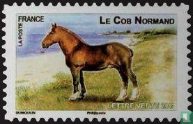 Franse streekpaarden