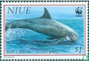 WWF Dolphins
