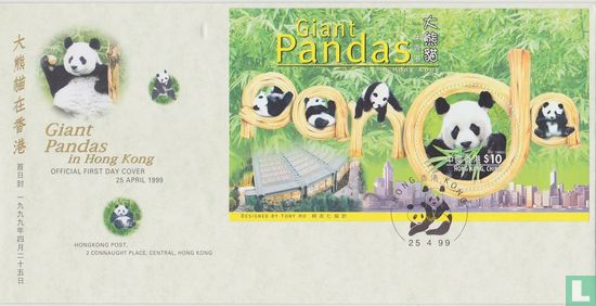 Giant pandas - Image 1