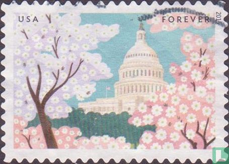 Capitol und Kirschblüten