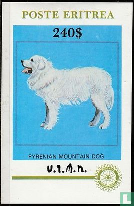 Pyrenian chien de montagne