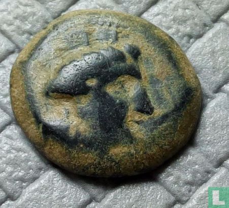 Arados,  Phoenicia  AE19  3rd Century BCE - Afbeelding 1
