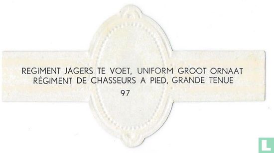 Gros pied régiment, insignes uniforme - Image 2