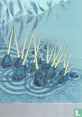 Narwal - Image 1
