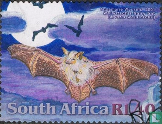 Bats of South Africa