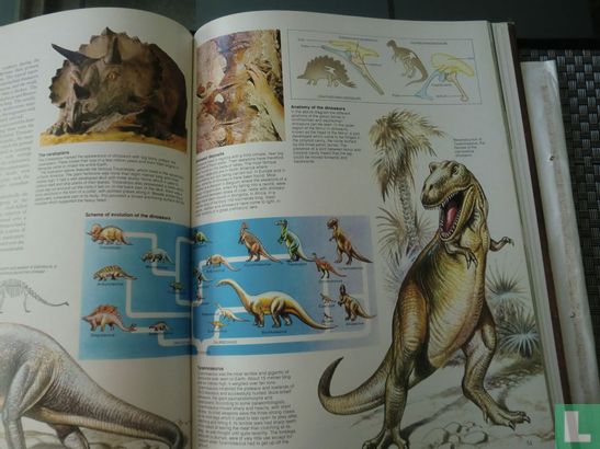 Prehistoric atlas - Image 3