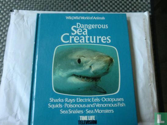 Dangerous Sea Creatures - Image 1