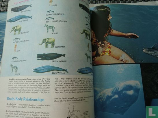 The Ocean World of Jacques Cousteau - Image 3