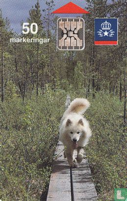 Hund - Image 1