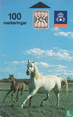 Häst - Afbeelding 1