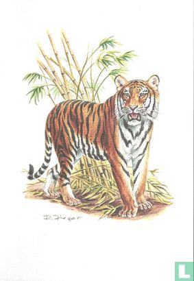 Zoogdieren - Bengaalse tijger