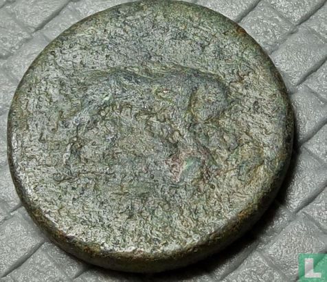Romeinse rijk  AE32  (Caracalla - Pisidië, Antiochië)  212-217 CE - Afbeelding 2