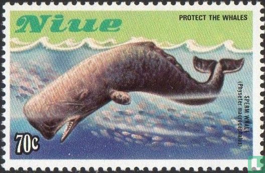 Walvissen