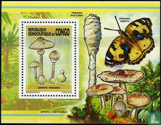 Champignons