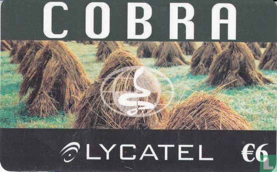 Cobra  - Image 1