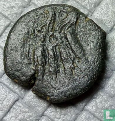 Greco-Egypt  AE 19 (Ptolemy VI Philometor & Ptolemy VIII Euergetes II, joint rule) 169-163 BC - Image 2