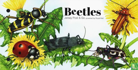 Post & Go - beetles - Image 2