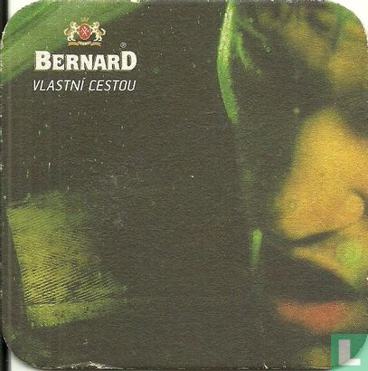 Bernard - Image 2