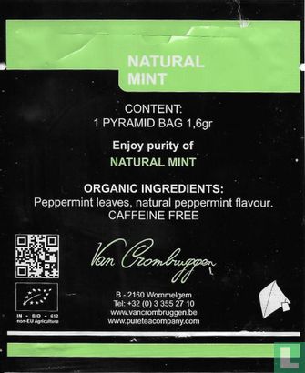 Natural Mint - Image 2