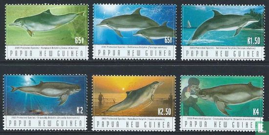Dolfijnen    