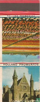 "Ridderzaal / Bollenvelden" - Image 1