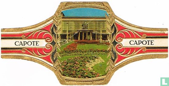 Monaco - Exotic garden with exotic plates from around the world - Image 1