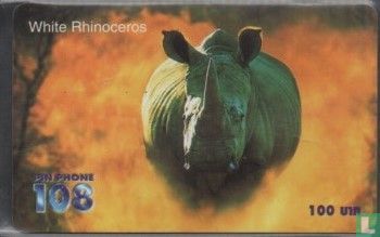 White Rhinoceros - Afbeelding 1