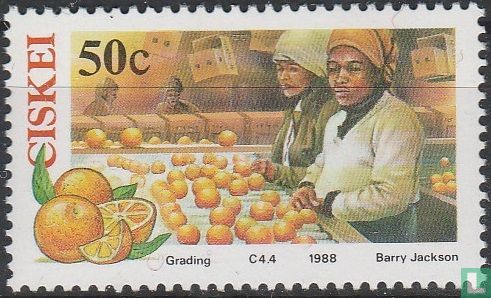 Citrus Farming 