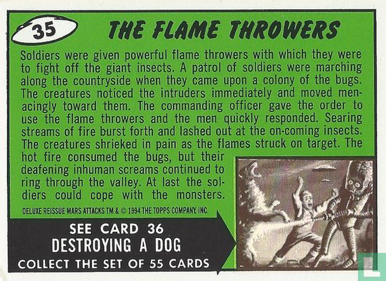The Flame Throwers - Bild 2