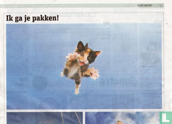 Ik ga je pakken!/Vliegende kittens perfecte modellen/Haal een kat uit asiel - Image 1