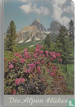 Die Alpen blühen - Afbeelding 1