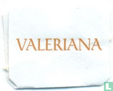 Valeriana - Image 3