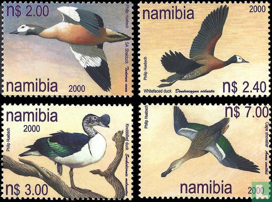 Canards de Namibie