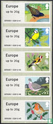 Vögel von Britain - Bild 1