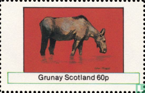 Grunay Cow moose