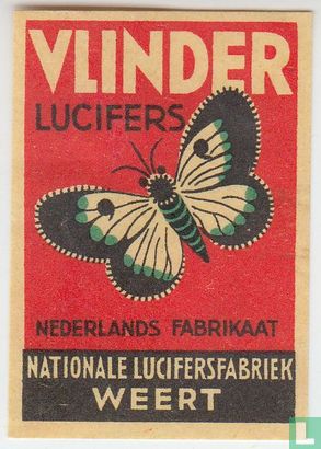 Vlinder lucifers   - Bild 1