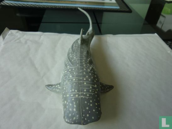 Requin-baleine - Image 2
