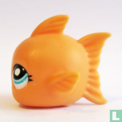 Goldfish - Bild 3