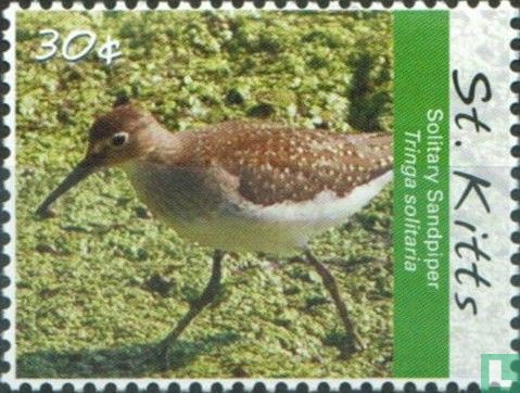 Oiseaux            