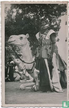 Partisan méhariste - Bild 1