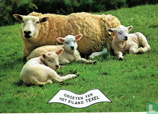 Groeten van het eiland Texel