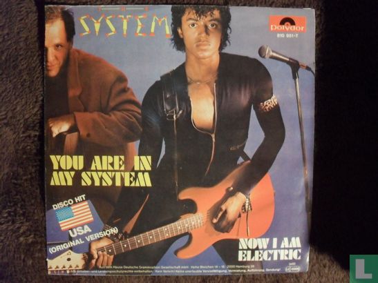 You Are in My System - Bild 1
