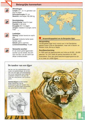 Bengaalse tijger - Bild 2