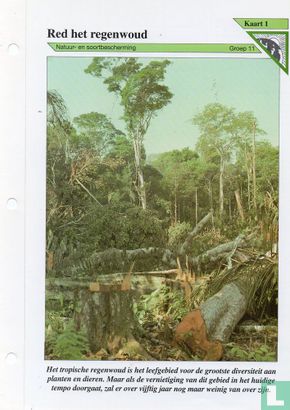Red het regenwoud - Image 1