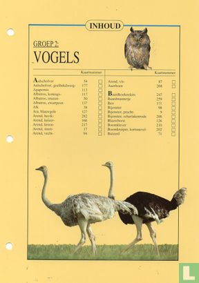 Inhoud - Groep 2: Vogels - Image 1