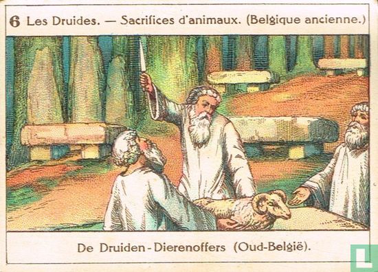 De druiden - Dierenoffers (Oud België) - Image 1